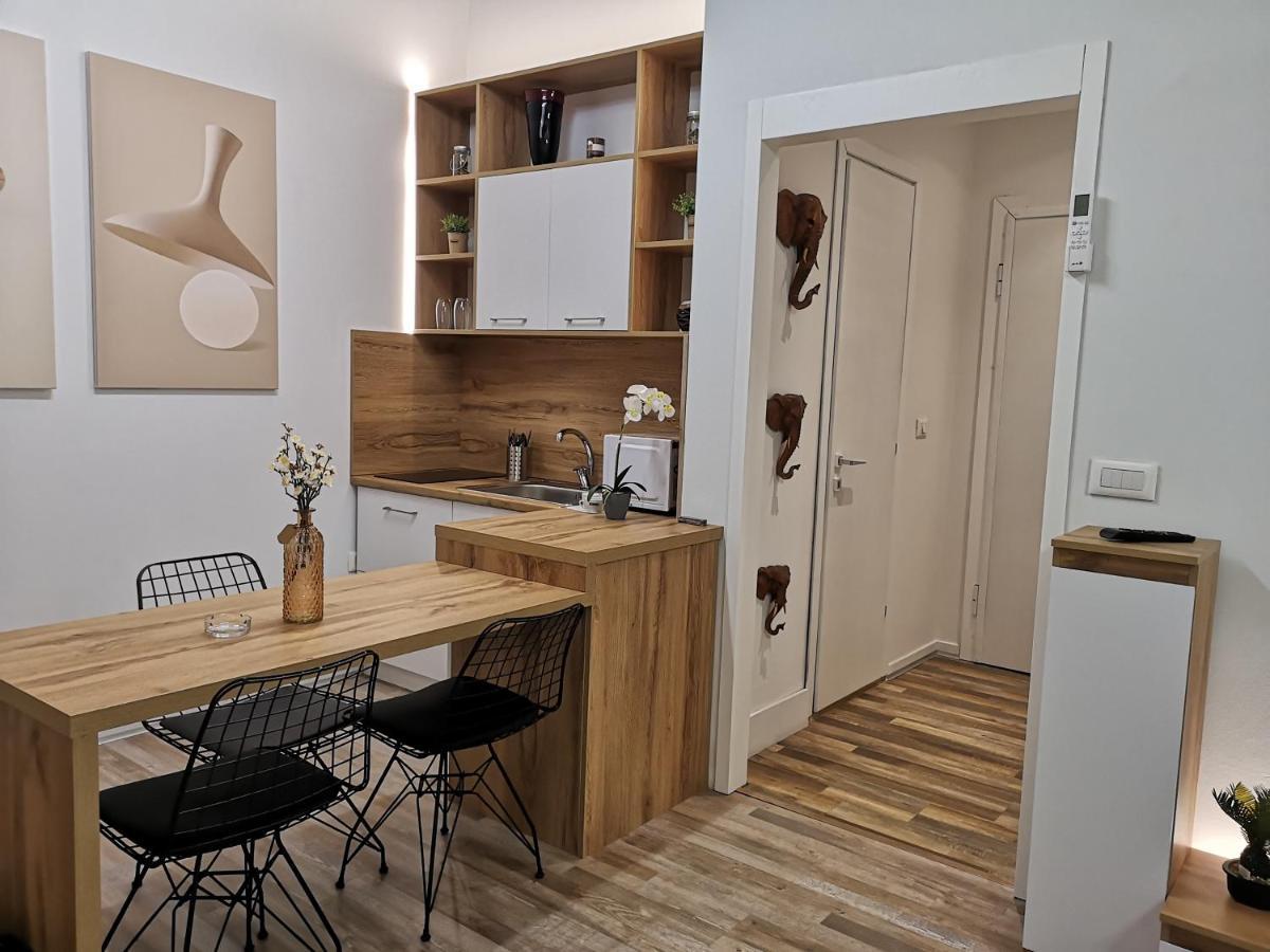 New Modern In The Center Of Apartment Tirana
